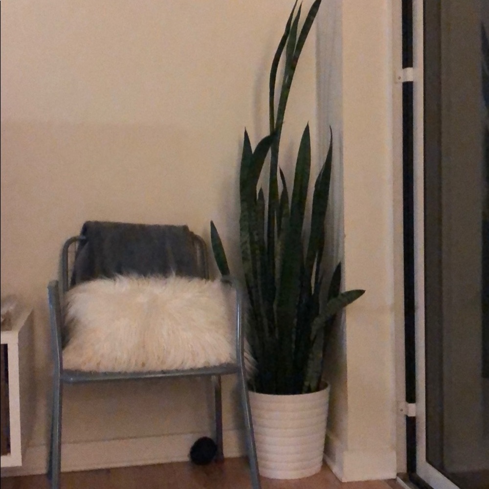 Meet your Posher, Kurt